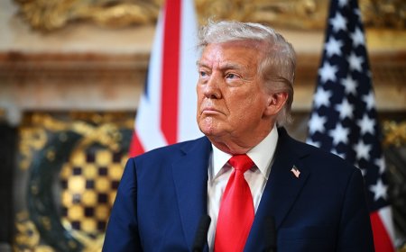 Rob Reiner and Wife Michele's History With Donald Trump Explained