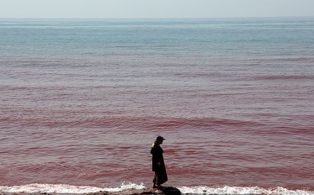Wild viral video shows blood-red scenes covering island after rainstorm