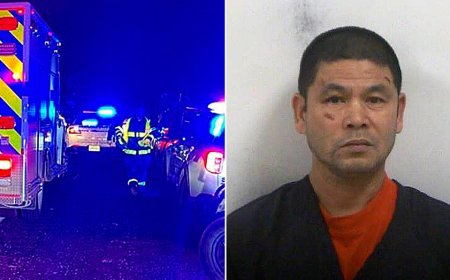 Suspect accused of causing massive fatal pileup was illegal immigrant who obtained CDL in New York: feds