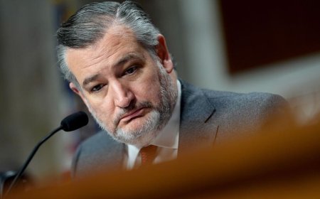 Ted Cruz roasts Democrats, late-night comics and Biden administration while grilling FCC Chair Brendan Carr