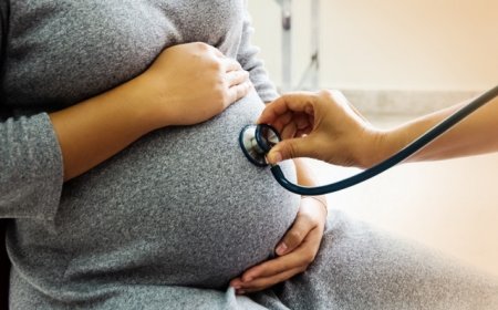 地方新闻精选 | 云南将帮助拟人工流产女性理性审慎决策 东北虎“完达山1号”再度现身