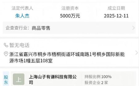 哪吒汽车被曝开新号成立“谦和汽车” 知情人士：为重整做准备