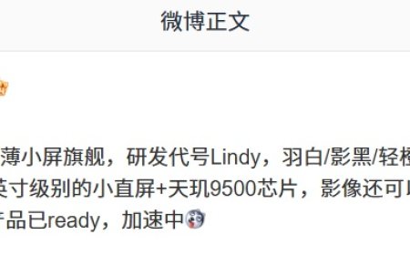 消息称某厂轻薄小屏旗舰机搭载 6.3 英寸级别的小直屏 + 天玑 9500 芯片，预计为荣耀 Magic8 Mini