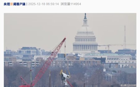 美国政府承认 1 月华盛顿撞机事故中空管和直升机飞行员存在失误