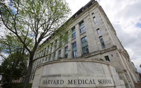 哈佛医学院前停尸房主管盗卖捐赠遗体器官被判监