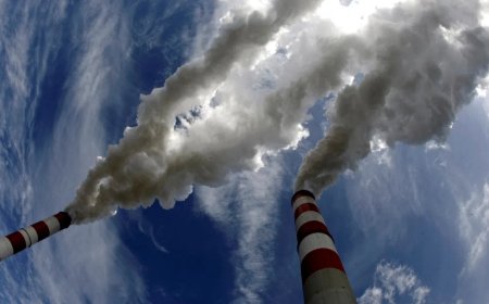 欧盟委员会提议扩大欧盟“碳关税”范围