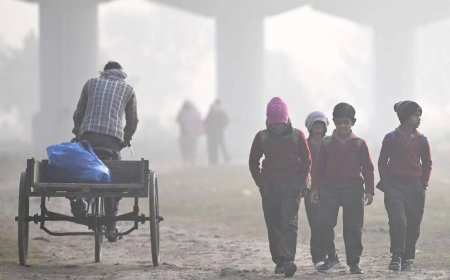 印度首都空气污染问题严重 半数政府和私营企业职员居家办公