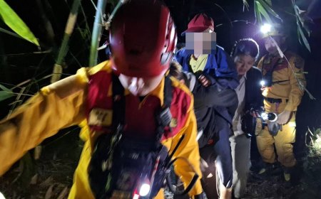 基隆阿嬤採竹筍失聯！入夜受困七堵山區　警消摸黑火速救援下山