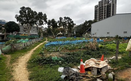 快訊／林口菜園驚傳砍人案！1男全身多處刀傷　滿身血送醫
