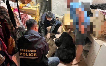 9人獵殺4台灣黑熊一審無罪　「黑熊媽媽」黃美秀發聲