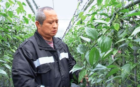 南迴搞軌謀殺離奇命案！兄弟合謀殺越妻　弟尋短、兄低調出獄