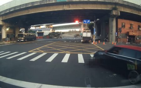 新北駕駛紅燈迴轉「輾過黑狗」！牠捲入車底掙扎起身
