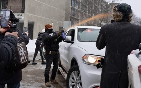 Minneapolis police chief blasts ICE after agent seen dragging woman through street, kneeling on her back