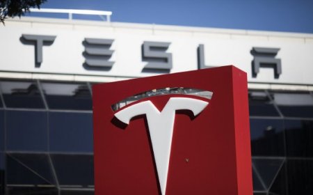 特斯拉估值逻辑正在转变：押注自动驾驶和机器人 汽车业务占比降低