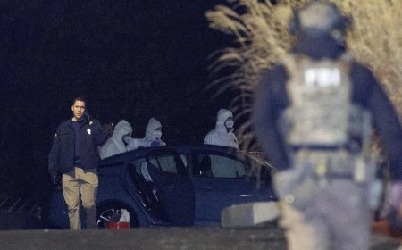 美检方：布朗大学枪手也是杀害麻省理工教授凶手