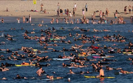 澳洲警方逮捕七名有“极端思想”男子