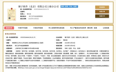 罗永浩 Smartisan 细红线 AI 来临？锤子软件（北京）有限公司上海分公司成立