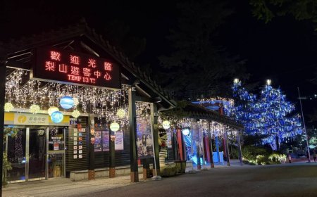 馬年將至！梨山梅花與燈光映照高山新年步調