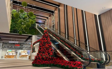 2千坪「CITYLINK三重店」12／20開幕見客！壽司郎、松本清限定優惠一次看