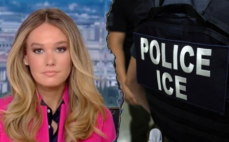 DHS fires back at Senate Dems over ICE detainee death claims: 'Trying to twist data'