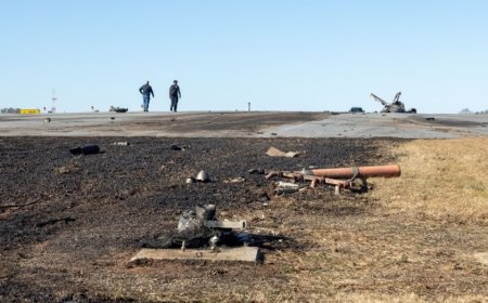 Wreckage of plane crash that killed NASCAR legend Greg Biffle and family shown in photos