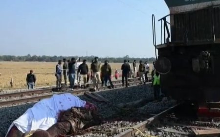 印度一辆列车撞上象群脱轨 多头野象死伤