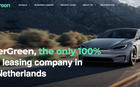 “纯特斯拉”租车公司Mistergreen面临破产