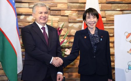 日本与中亚五国首脑会议 未来五年投资3万亿日元