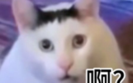 ChatGPT 文风，原产地肯尼亚