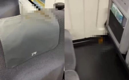 超噁！通緝犯「屎甩車廂」抹自強號座椅　台鐵求償18萬獲准