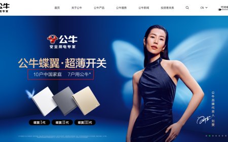 公牛回应“10 户中国家庭，7 户用公牛”宣传语争议：有调研支撑并已标注