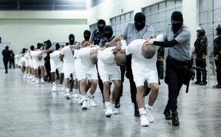 '60 Minutes' postpones segment on migrant inmates from El Salvador's CECOT prison