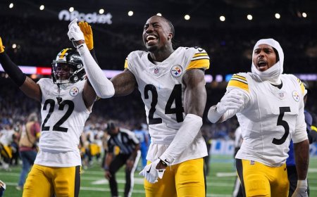 Steelers escape with win as penalty wipes out Lions' wild game-ending touchdown