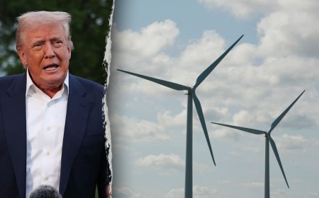 Fox News Politics Newsletter: Trump admin pausing all off shore wind project construction