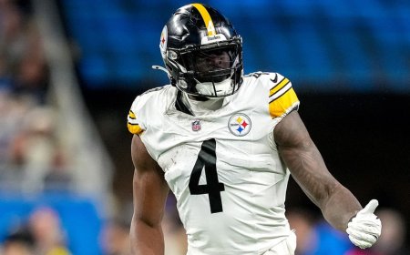 Lions fan involved in altercation with Steelers star denies using derogatory language toward player