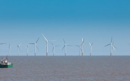 特朗普政府叫停美国所有海上风电项目