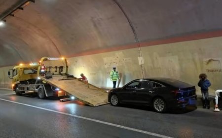 定速巡航失灵被质疑自导自演 车主：踩刹车、挂空挡均无效