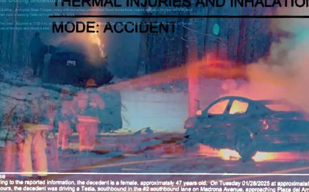 彭博：特斯拉车门打不开已在美国造成至少15人身亡