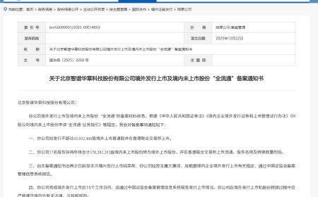 智谱港股 IPO 获中国证监会备案，冲刺“全球大模型第一股”