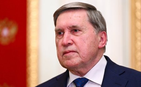 俄总统助理：尚未就俄美乌三方会谈提议进行讨论