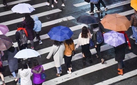 探10℃！　更強冷空氣明南下