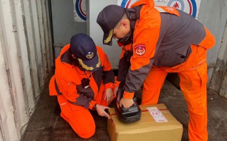 國內航線貨物夾藏「花生娘娘」　攔查發現簡體字加工品10.36公斤