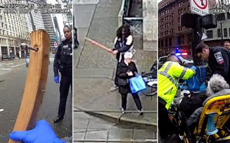 Horror video captures repeat offender allegedly attacking 75-year-old woman, gouging her eye with spiked stick