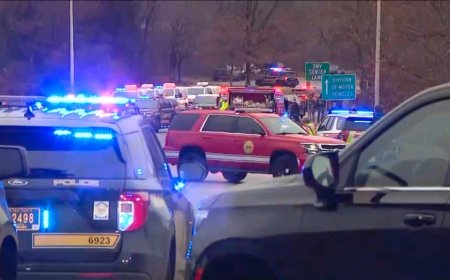 Delaware state trooper killed in DMV shooting incident, gunman also dead with no active threat: officials