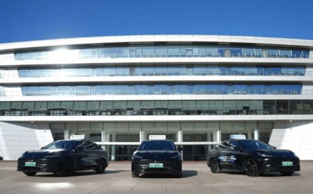 L3专用号牌来了 但车企再也不敢＂狂奔＂