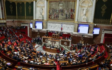 法国议会通过“特别法”草案 保障国家机构正常运转