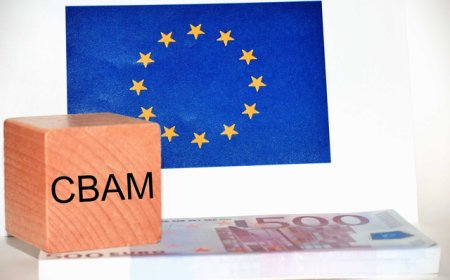 欧盟碳关税升级：从原材料扩至下游，中国出口商面临默认值暴涨冲击