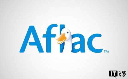美国保险巨头 Aflac 数据遭黑客窃取，约 2265 万人姓名、家庭住址等信息全泄露