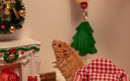 A Woolly Mouse Is Stealing Christmas Thanks To Science
