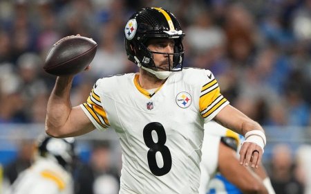 Steelers' Aaron Rodgers reacts to teammate's fan altercation, talks rise of negative interactions